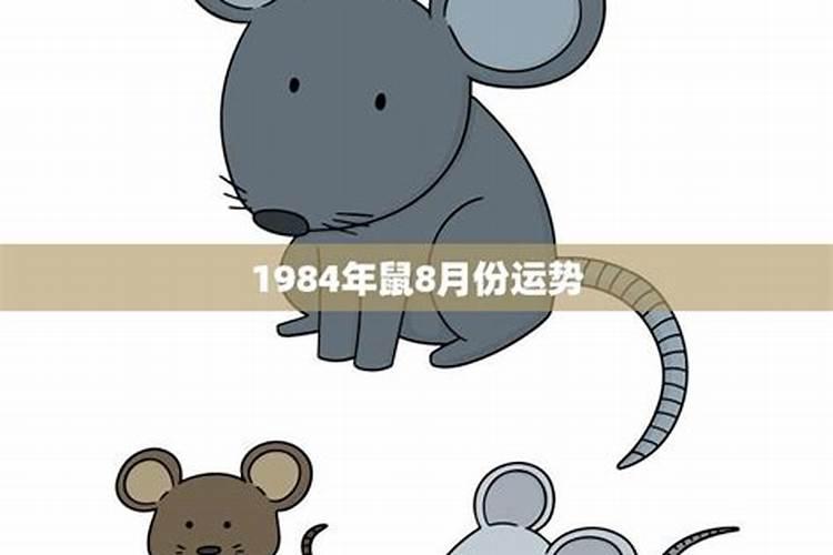 农历1984年8月12日亥时出生,今年运气如何