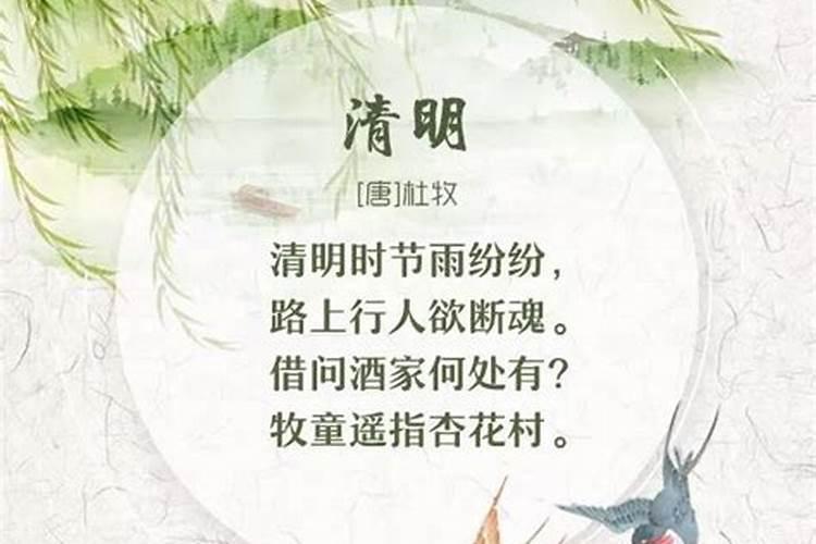 清明这首诗写了什么季节 清明这首诗季节介绍