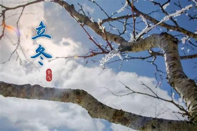 2025年犯太岁的生肖猪怎么化解2025年犯太岁的生肖猪怎么躲星