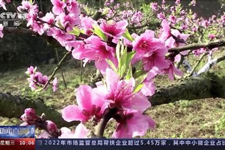 属牛小孩小名叫什么好听,2021年牛宝宝乳名集