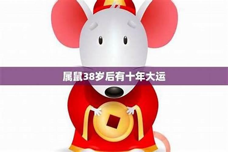 84年12月属鼠人的命运,1984年农历12月21日属鼠的运势怎样