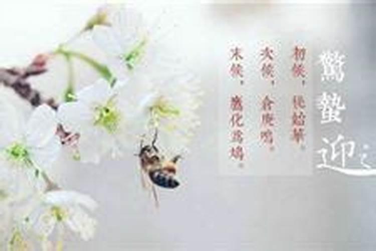 惊蛰日出生老一辈的说法 惊蛰出生的人好不好？