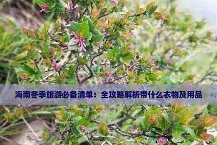 全国各地冬至节气都吃什么美食急急急。。。