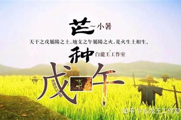 壬辰日主2025年庚辰月运势