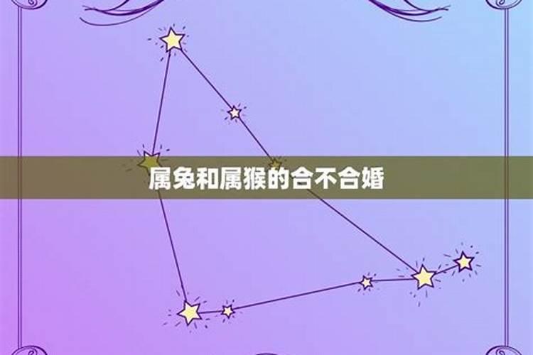 1992属猴和1999属兔的人八字合不合