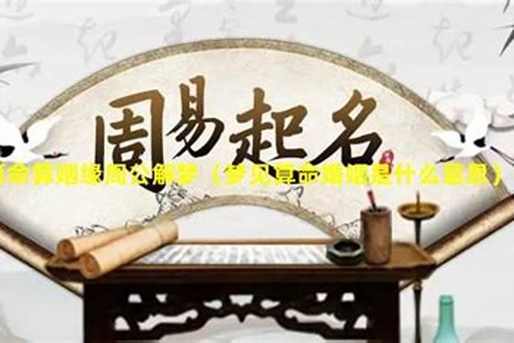 做梦梦到很多蛇是什么意思,很多很多