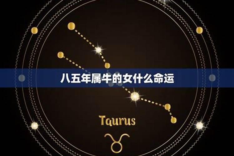 八五年二月初六生的运气今年怎样