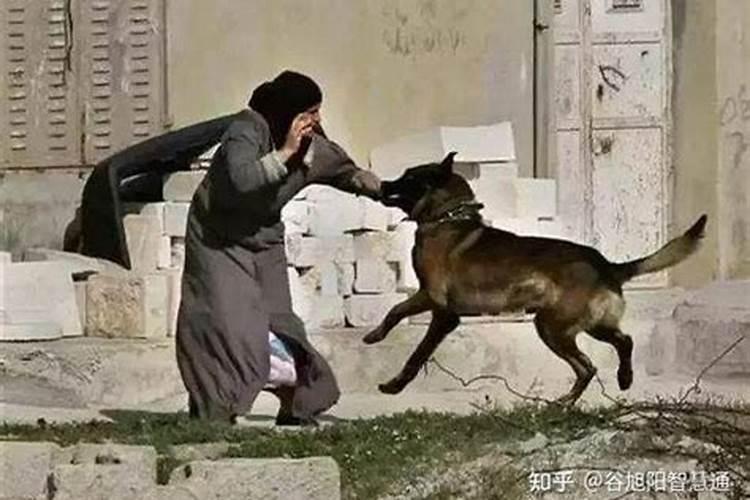狗咬我是不是要倒霉了？
