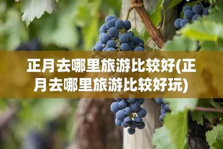 镇江不一样的风俗作文500