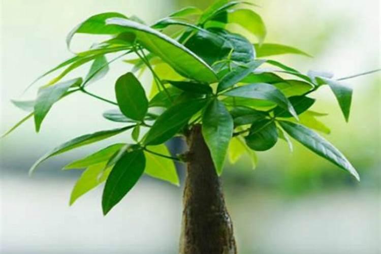 一混沌是多少年混沌到现在过了多少年