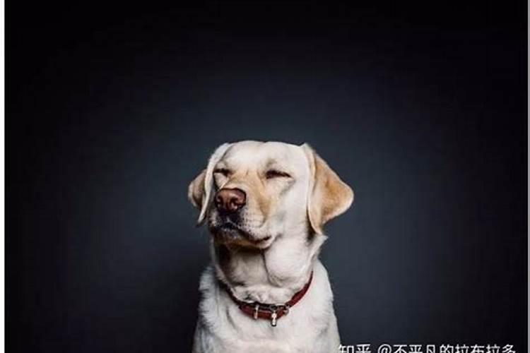 梦见老公丢下自己的预兆