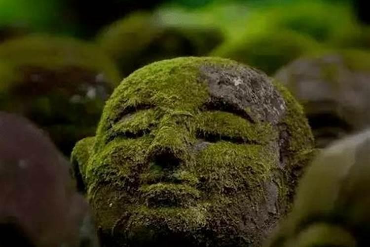 清明节是几月几日农历几月几日日