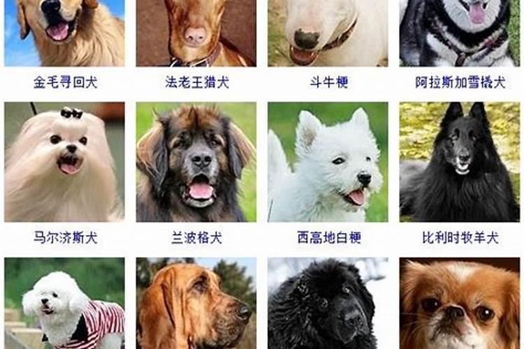 小学三年级中秋节作文350字6篇
