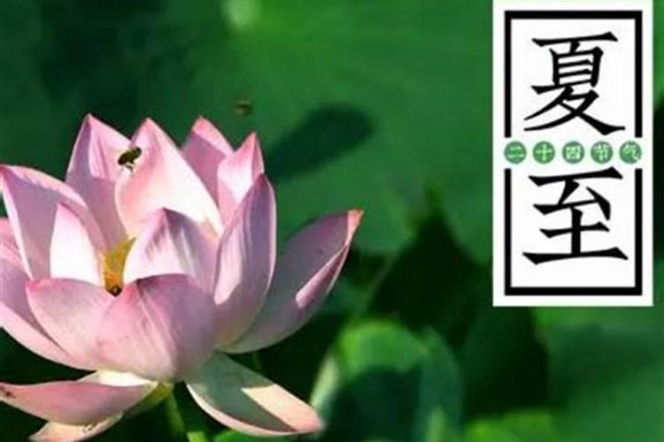 梦见前男友老婆死了的预兆