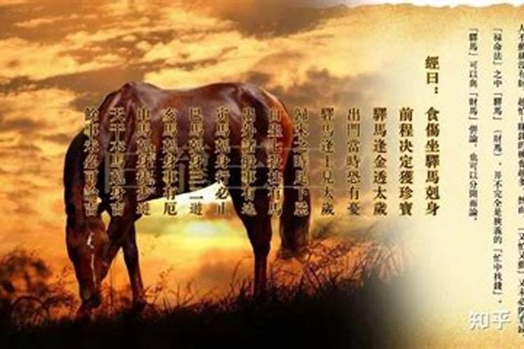属蛇的人虎年运势