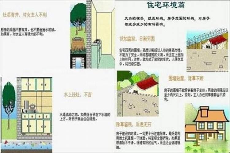 属羊几点出生最苦命