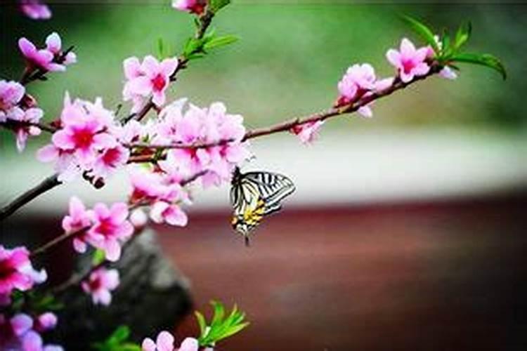 中秋节的神话故事嫦娥奔月