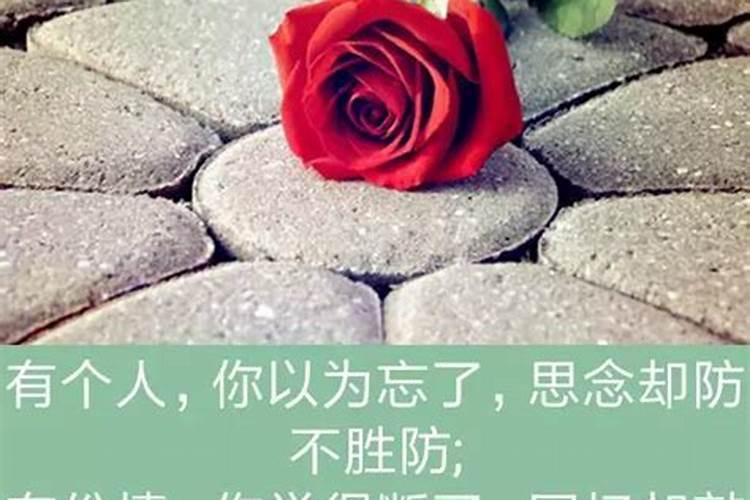 属虎2025年犯太岁怎么化解