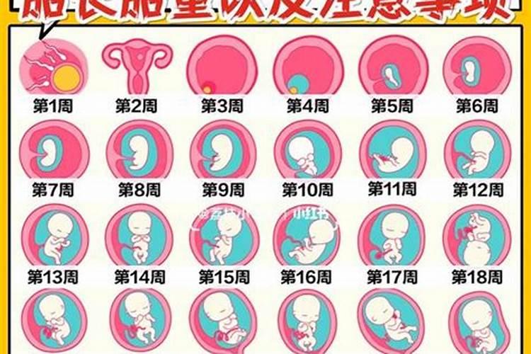 怎样让堕胎儿再来投胎
