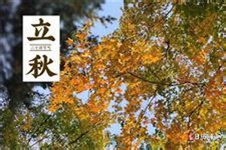 8月7号几点立秋