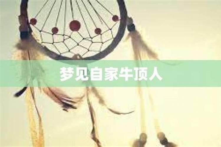 女人梦见吃鱼是什么预兆？