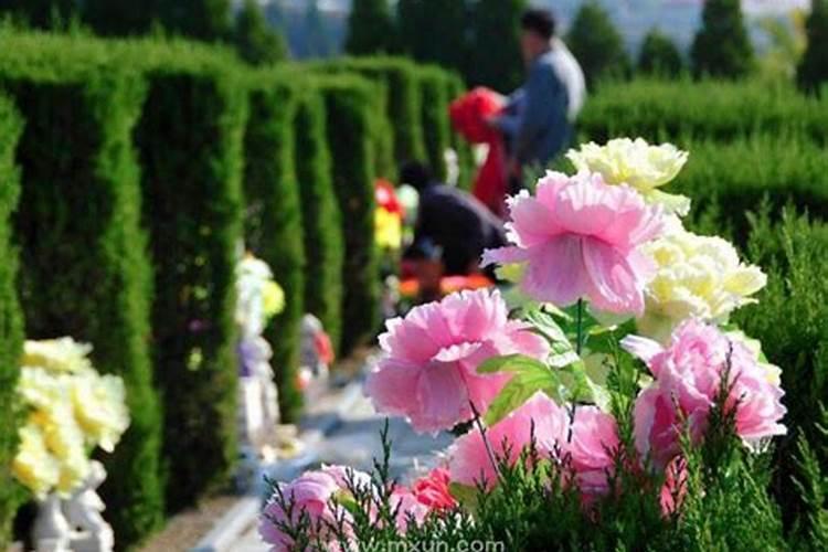 以清明节祭先烈为主题的300字作文,字数可以再少些,