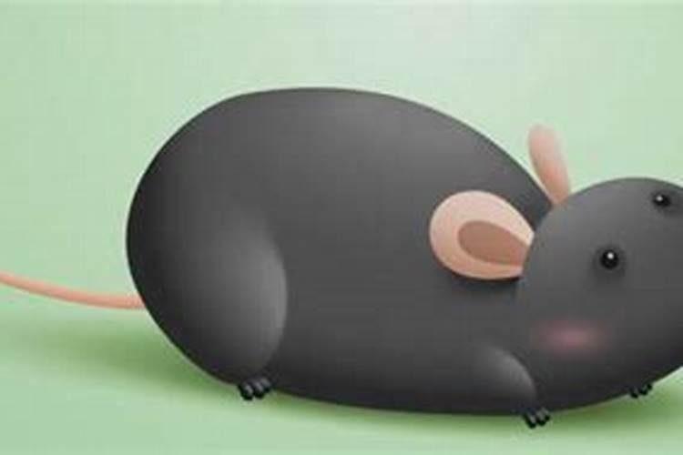 梦到老鼠泛滥成灾有什么预兆
