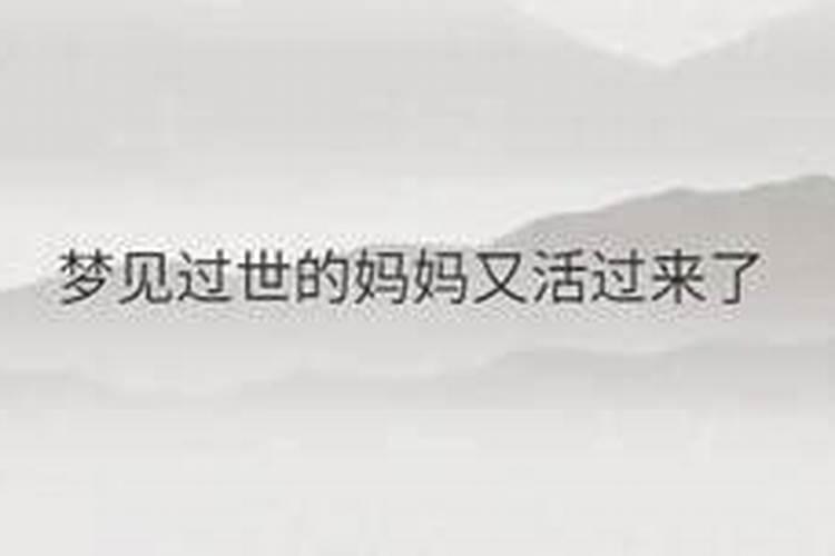 82年属狗2025年运势