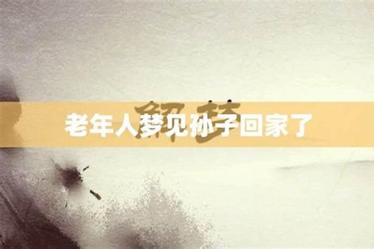 梦见孙子丢了什么意思