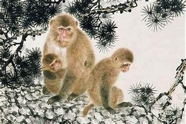属猴人出生时的命运