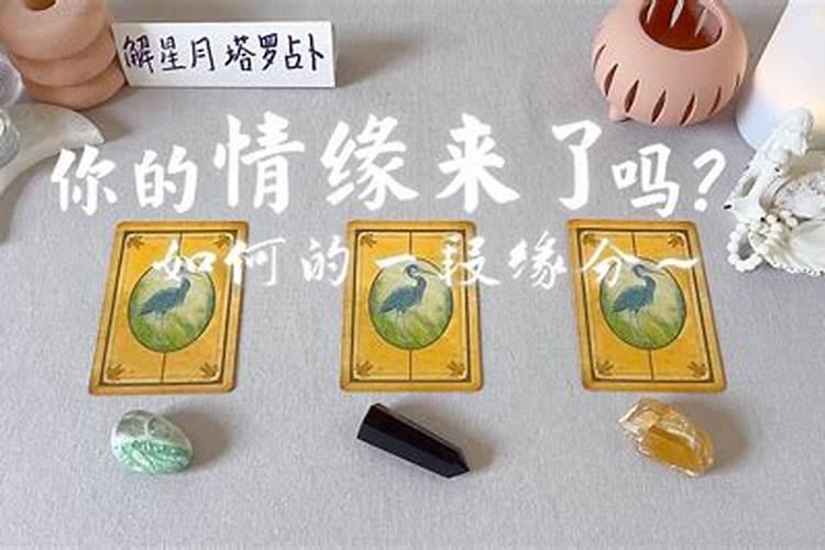 测姻缘塔罗牌,塔罗测试你真正的姻缘