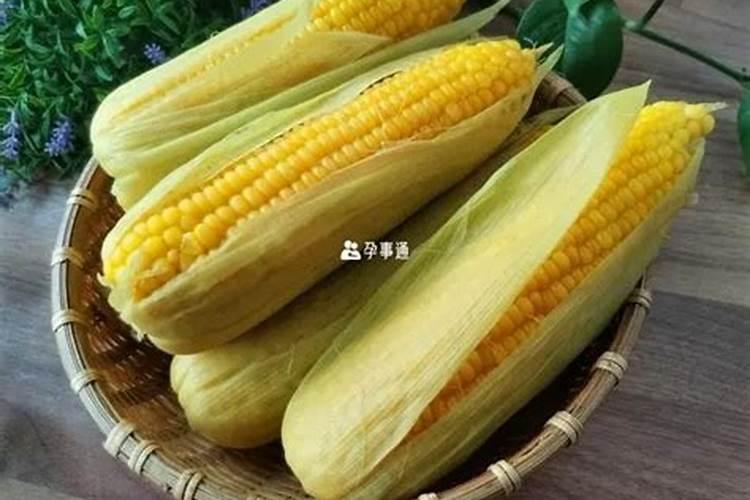 梦到玉米有生女儿的吗 梦到玉米是不是生女儿