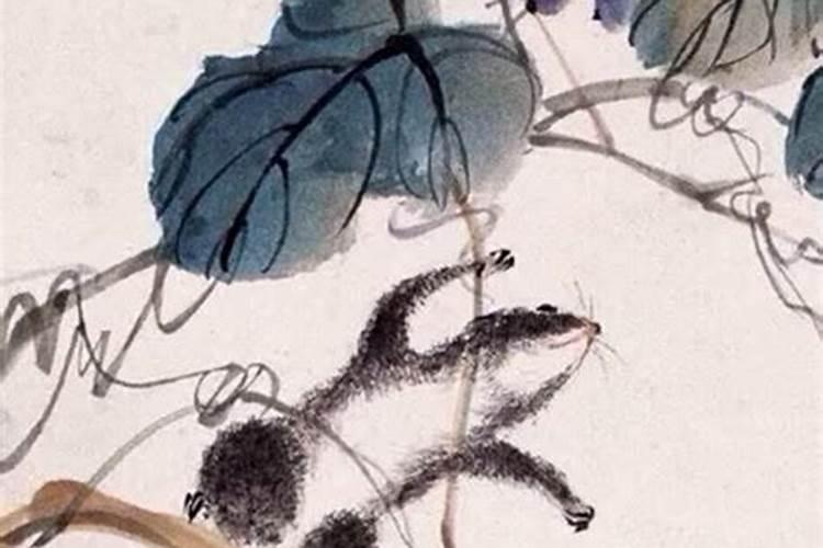 男孩八月十五中秋节出生好吗 命硬也能活得漂亮