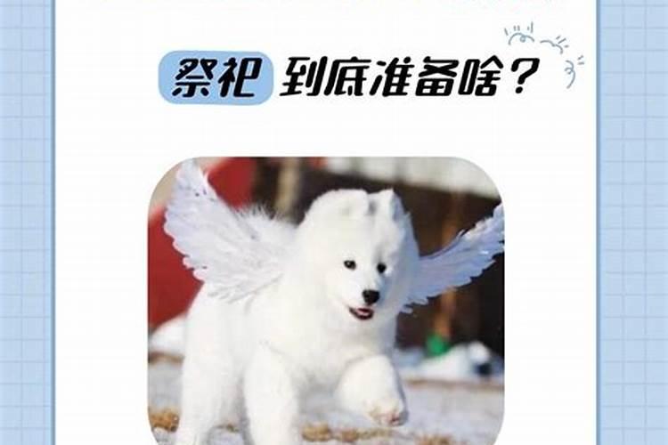 清明鬼节我可以给流产死掉的儿子烧纸吗