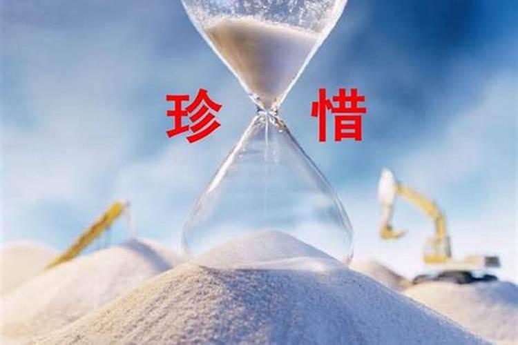 属蛇2024的全年运势(属蛇2024年运势及运程每月运程)