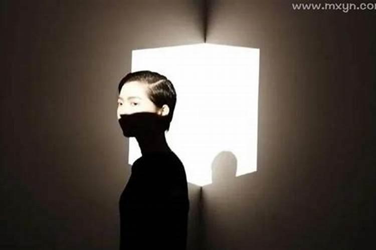 24年属兔的总体运程每月运程详解