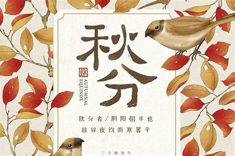 秋分节气吃什么