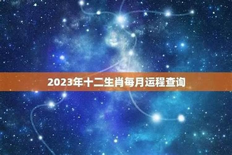 1982年正月初二申时出生的人运程