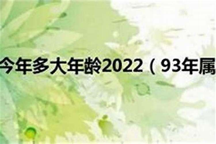 93年农历八月的鸡怎么样 一生命运如何？