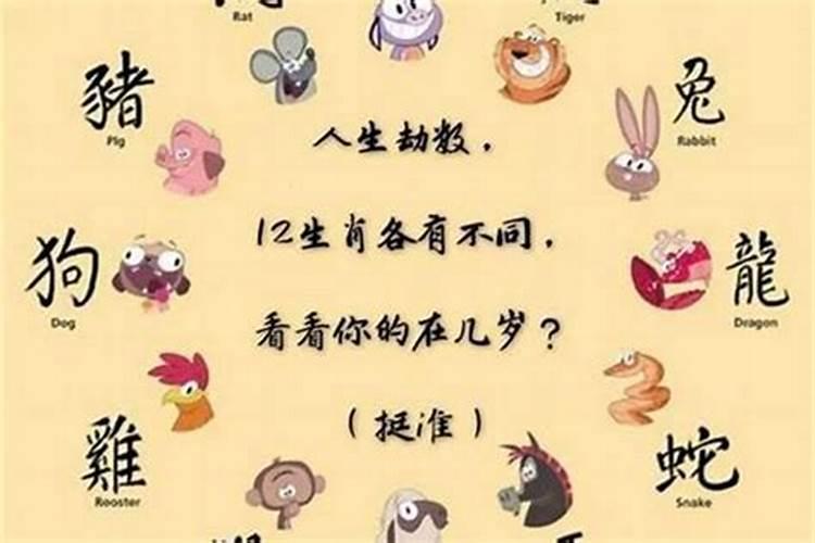 属猴人在2025年犯太岁时的具体化解方法