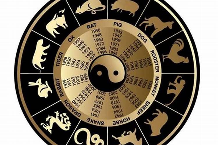 生肖是鼠的人几月出生的运势最好？