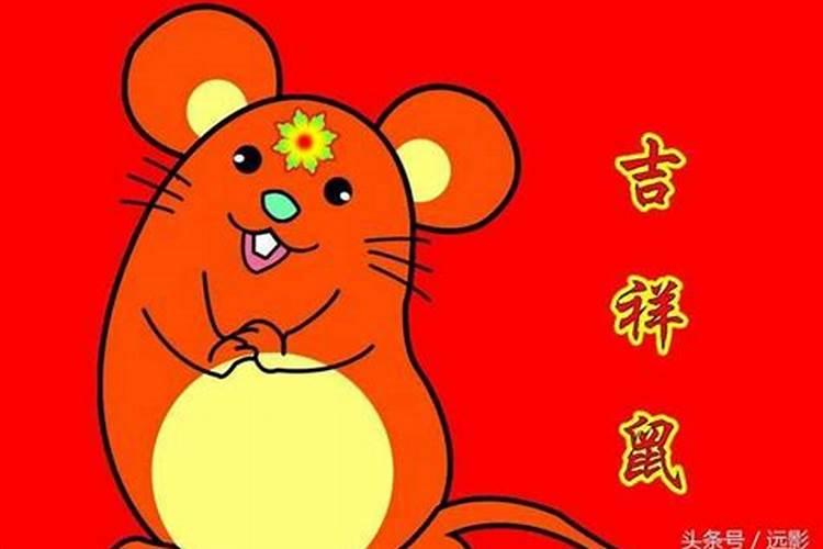 属鼠人出生日的命运,属鼠人哪天出生更好命