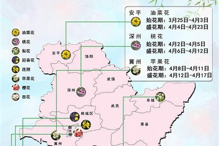 正月十五怎样看花灯