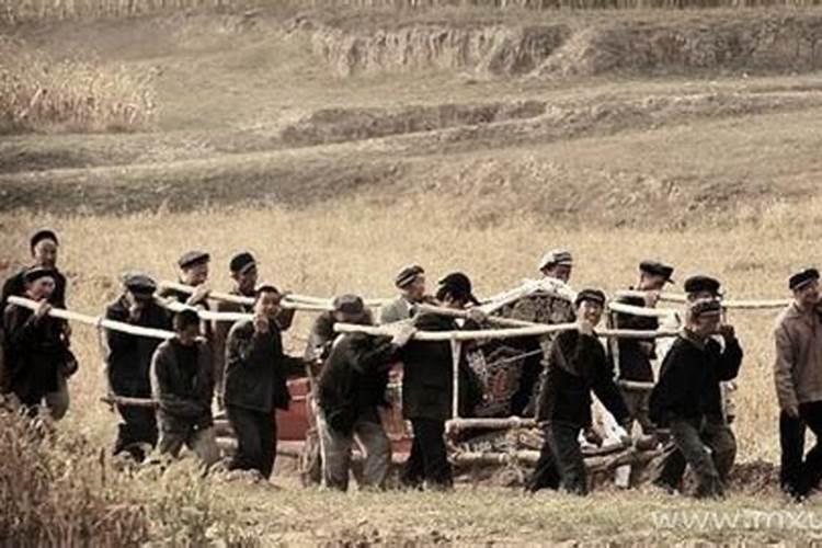 属兔的人2025年每月运势及运程详解