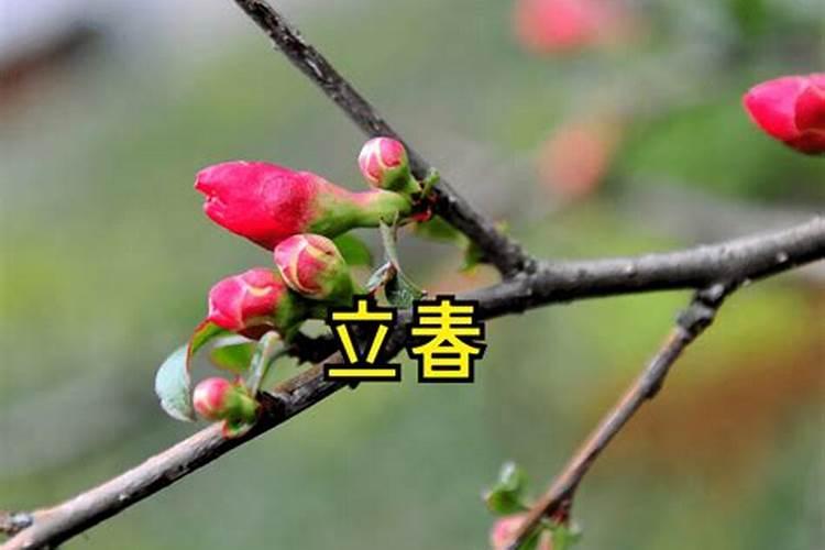 农历三月十五哪位神仙的生日