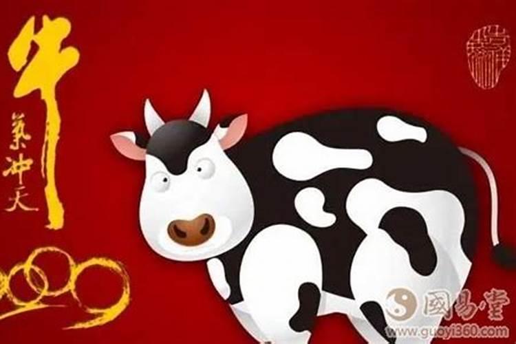 请问属牛运势今年明年如何