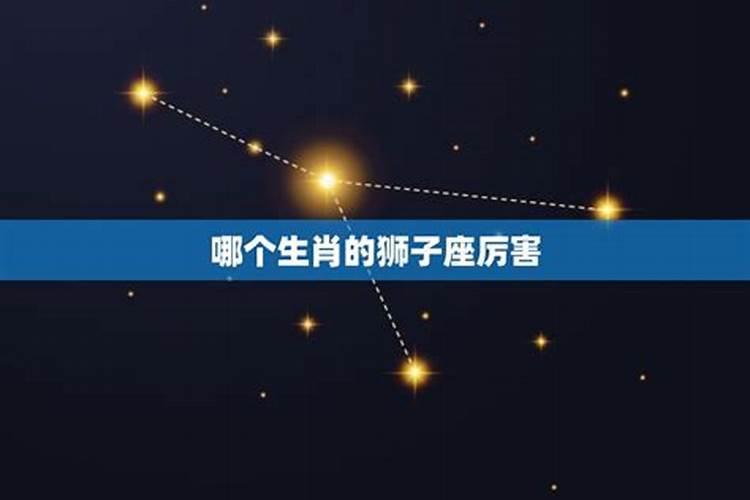 狮子座什么属相聪明