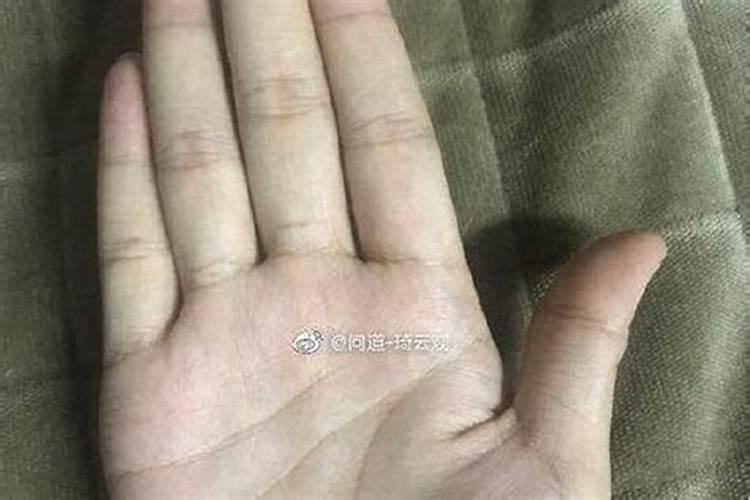 小人指什么生肖