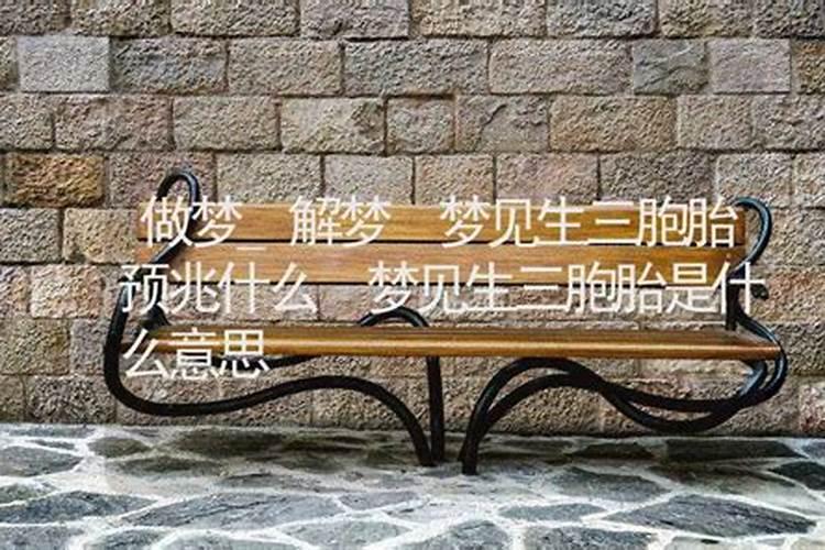 梦见三胞胎什么意思