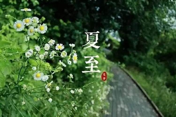 夏至前一天是什么日子